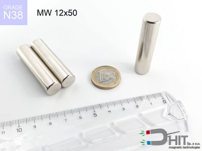 MW 12x50 N38 - neodymowe magnesy walcowe